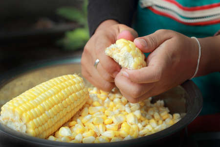 Sweet corn in the marketの写真素材