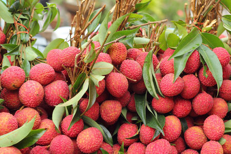 ripe lychee in the marketの写真素材