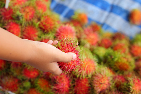 Sweet fruits rambutan in the marketの写真素材