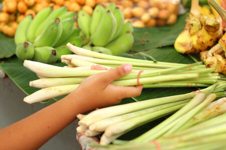 lemon grass in the marketの写真素材