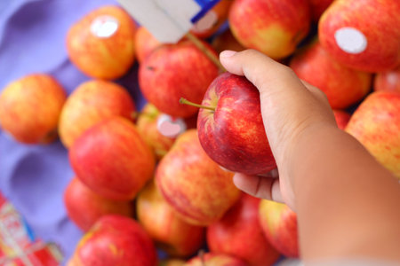 Fresh red apple in the marketの写真素材