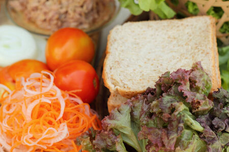 making tuna sandwich with fresh vegetablesの写真素材
