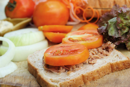 making tuna sandwich with fresh vegetablesの写真素材