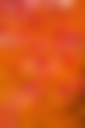 blurred colorful background - beautiful textureの写真素材