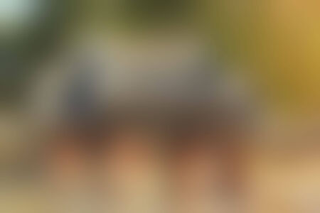 blurred colorful background - beautiful textureの写真素材