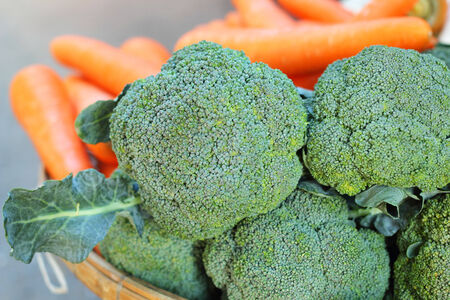 green broccoli in the marketの写真素材