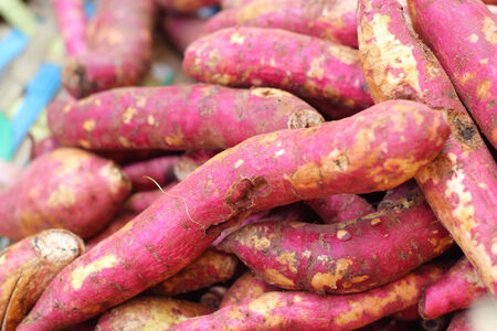 Fresh yam at the marketの写真素材