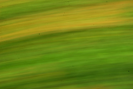 blurred light trails - background beauty