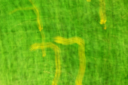 blurred light trails - background beautyの写真素材