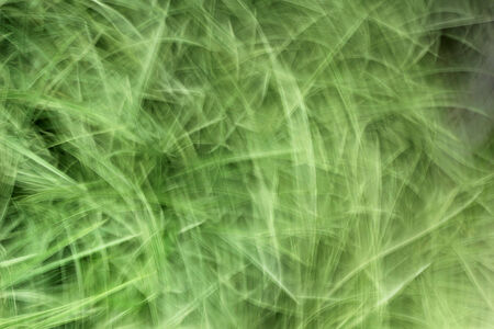 blurred light trails background textureの写真素材