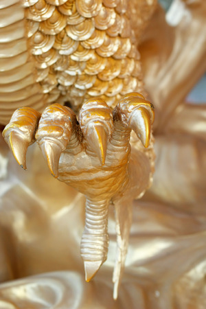 Dragons pedicure in the templeの写真素材