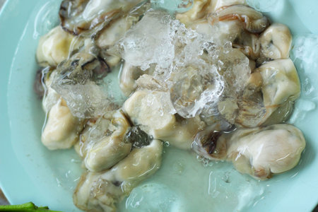 Fresh oysters on plate with ice.