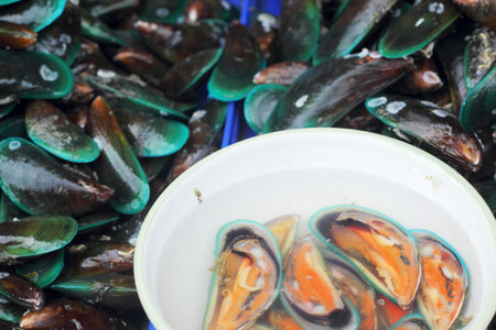 Fresh shellfish at the market