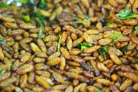 fried silk worms in the marketの写真素材