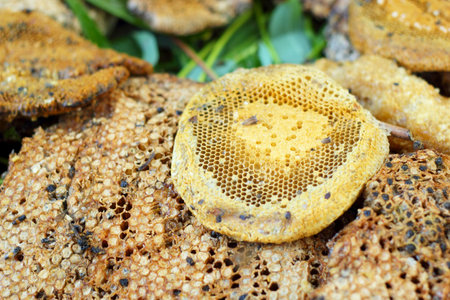 fresh honey in the comb