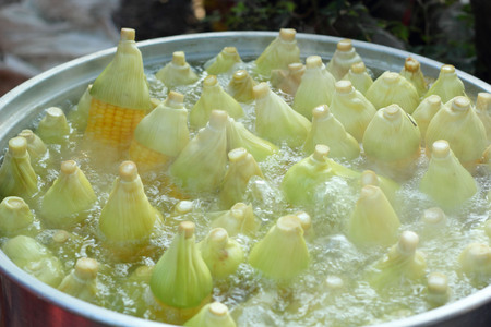 Sweet corn cooked in a potの写真素材