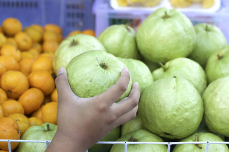Guava fruit in the marketの写真素材