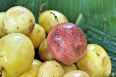 close up of passion fruit