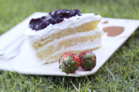 Blueberry cake and strawberry fruit