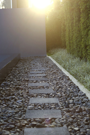 way in the park with a beautiful sunset.の写真素材