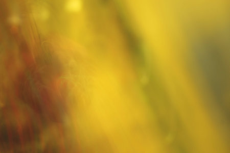 blurred light trails - background beauty