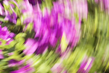 blurred light trails colorful backgroundの写真素材