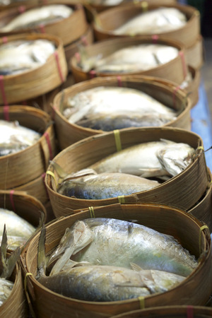 Mackerel fish in the marketの写真素材