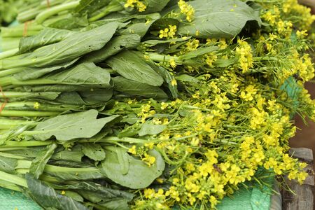 fresh choy in the marketの写真素材