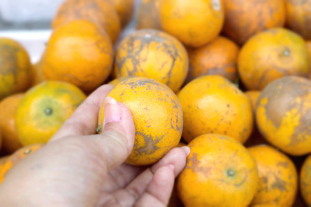 ripe orange fruit