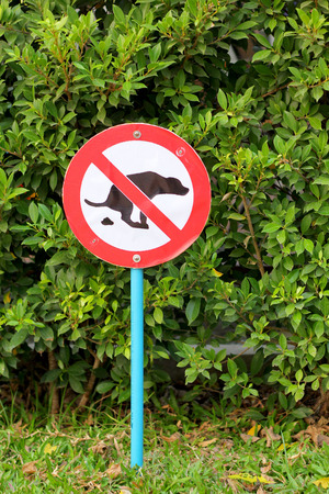 Signs symbolize ban feces dogの写真素材