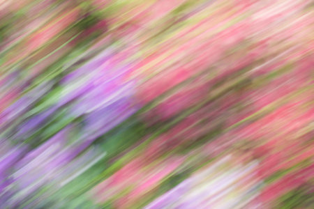 blurred light trails is background beautyの写真素材