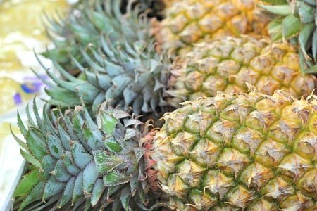 Pineapples fruit at the marketの写真素材