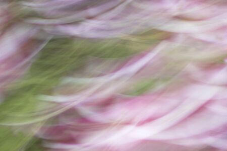 blurred light trails is background beautyの写真素材