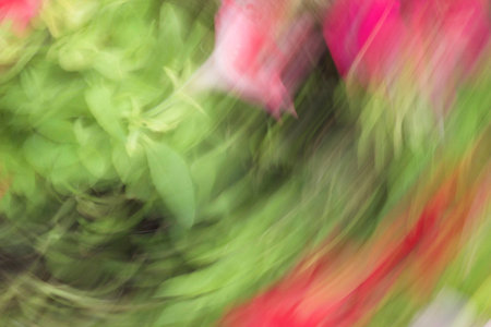 blurred light trails is background beautyの写真素材