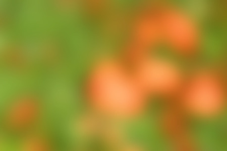 Blurred colorful background and textureの写真素材