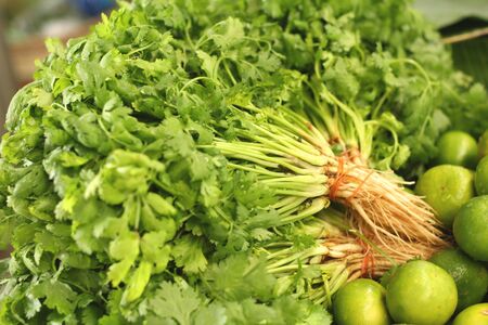 fresh vegetables - coriander in the market.の写真素材