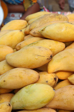 mango fruit at the marketの写真素材