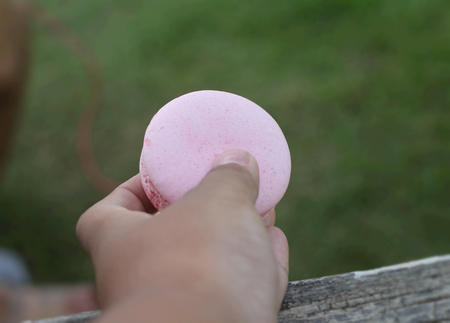 French macaroons multi colorful is deliciousの写真素材