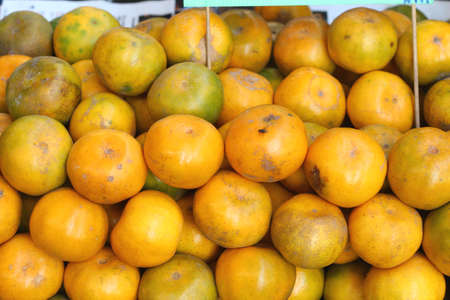 orange fruits in the marketの写真素材