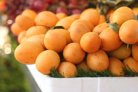 Marian plum fruit - asia fruit