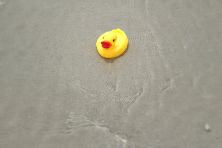 Lovely of yellow rubber duck on the sand.の写真素材