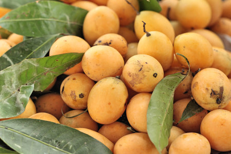 Marian plum fruit - asia fruit