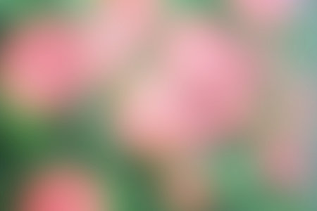 Blurred flower colorful background and beauty textureの写真素材