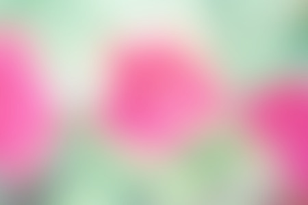 Blurred flower colorful background and beauty textureの写真素材