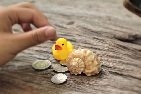 yellow rubber duck and banknotes ,coins on wood backgroundの写真素材