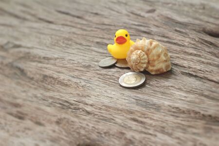 yellow rubber duck and banknotes ,coins on wood backgroundの写真素材