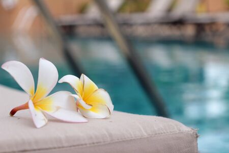 plumeria flower and blue swimming pool rippled water detailの写真素材