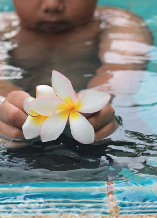 plumeria flower in hand the boy at swimming poolの写真素材