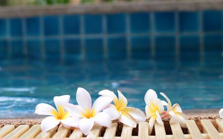 plumeria flower and blue swimming pool rippled water detailの写真素材