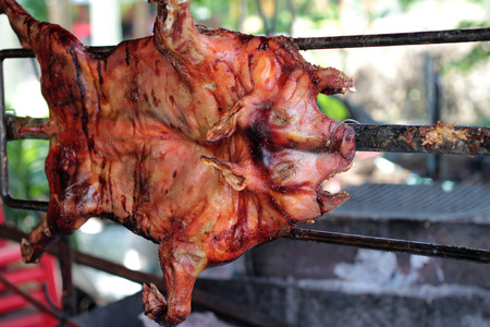 Barbecued suckling pig - roasted pigの写真素材